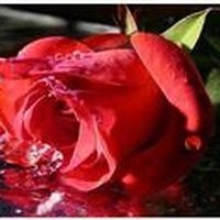 Obituary of Ronnie Ray Clark