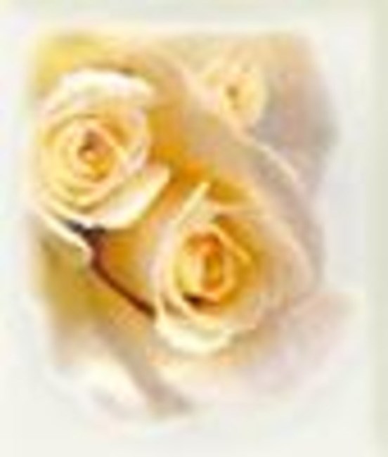 Obituary of Frances Gray