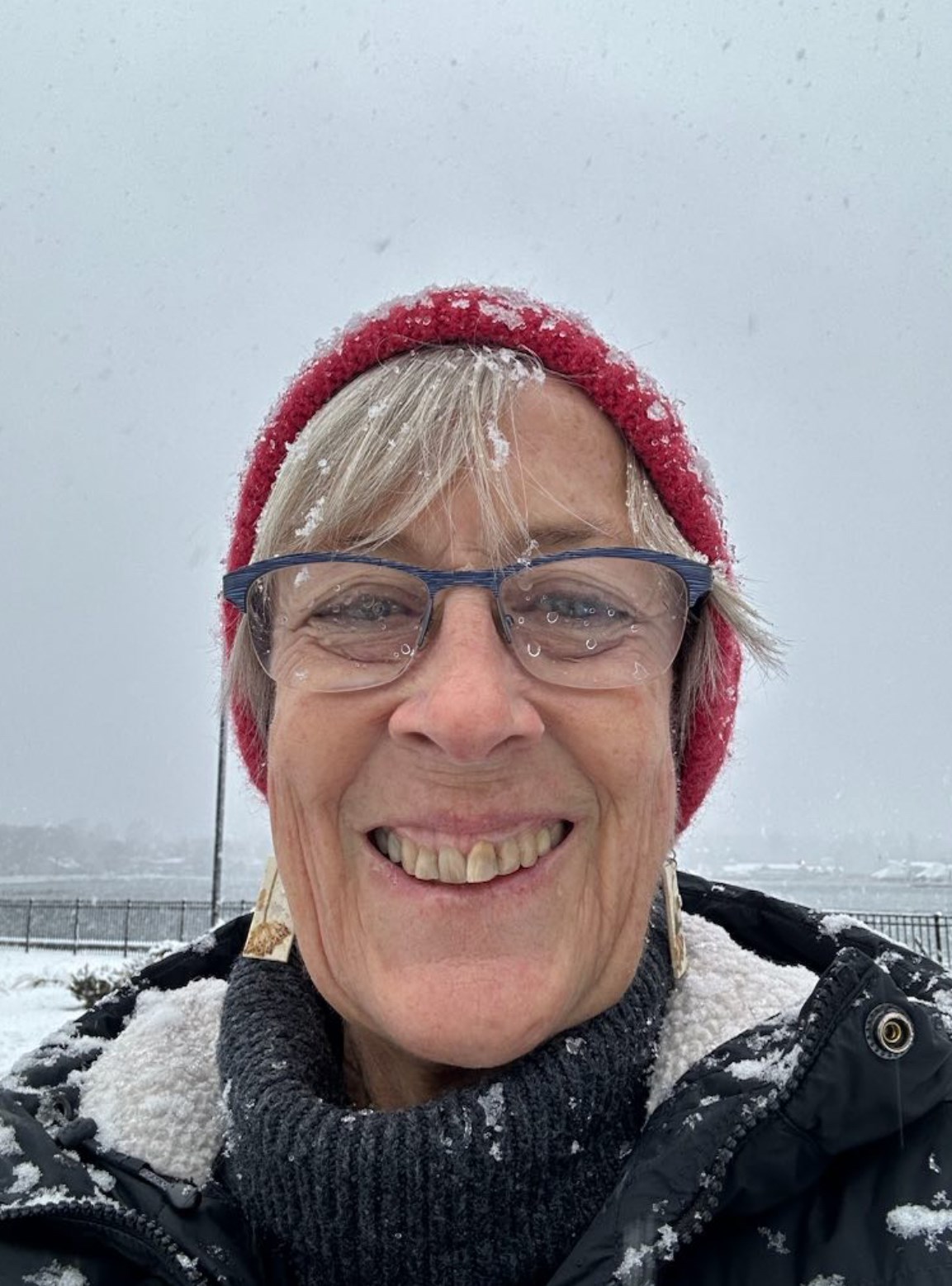 Obituary of Susan Leavitt Bannon