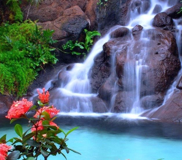 Obituary of Tri Cao Tran