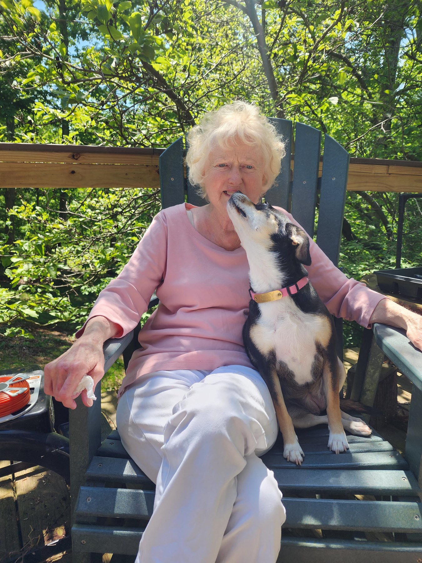 Obituary of Sharon Fleak