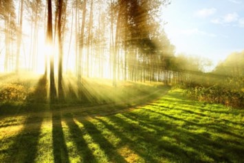 Obituary of John Henry Lindahl