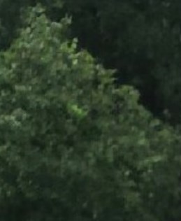 JoAnne Miller Obituary Arlington TX joanne-miller-obituary-arlington-tx