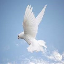 Obituary of Karen Bing