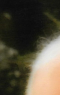 William J. Miller Obituary Boyertown, PA