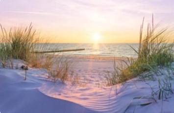 Obituary of Gisela Halpern