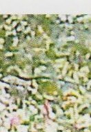 Donald Jones Obituary Houston, TX