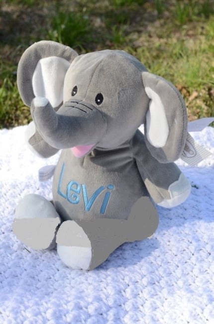 Obituary of Levi Scott Elmore