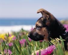 Obituary of Helen Phillips