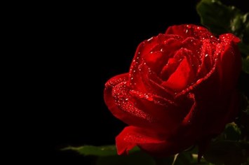 Obituary of Manuela Garcia