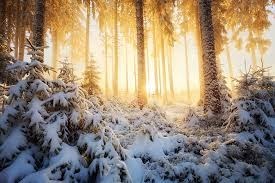Obituary of Christmas 2015