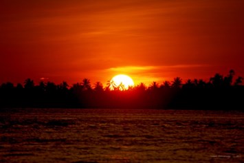 Obituary of William Elliott Becker