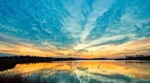 Obituary of David Churchill Adams Reilly