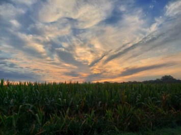 Obituary of Robert Lee Thomas