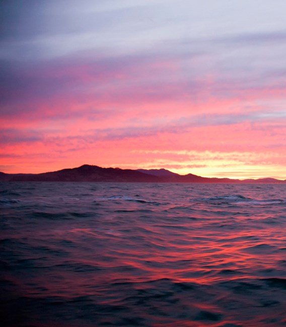 Obituary of Thelea P. Fudim