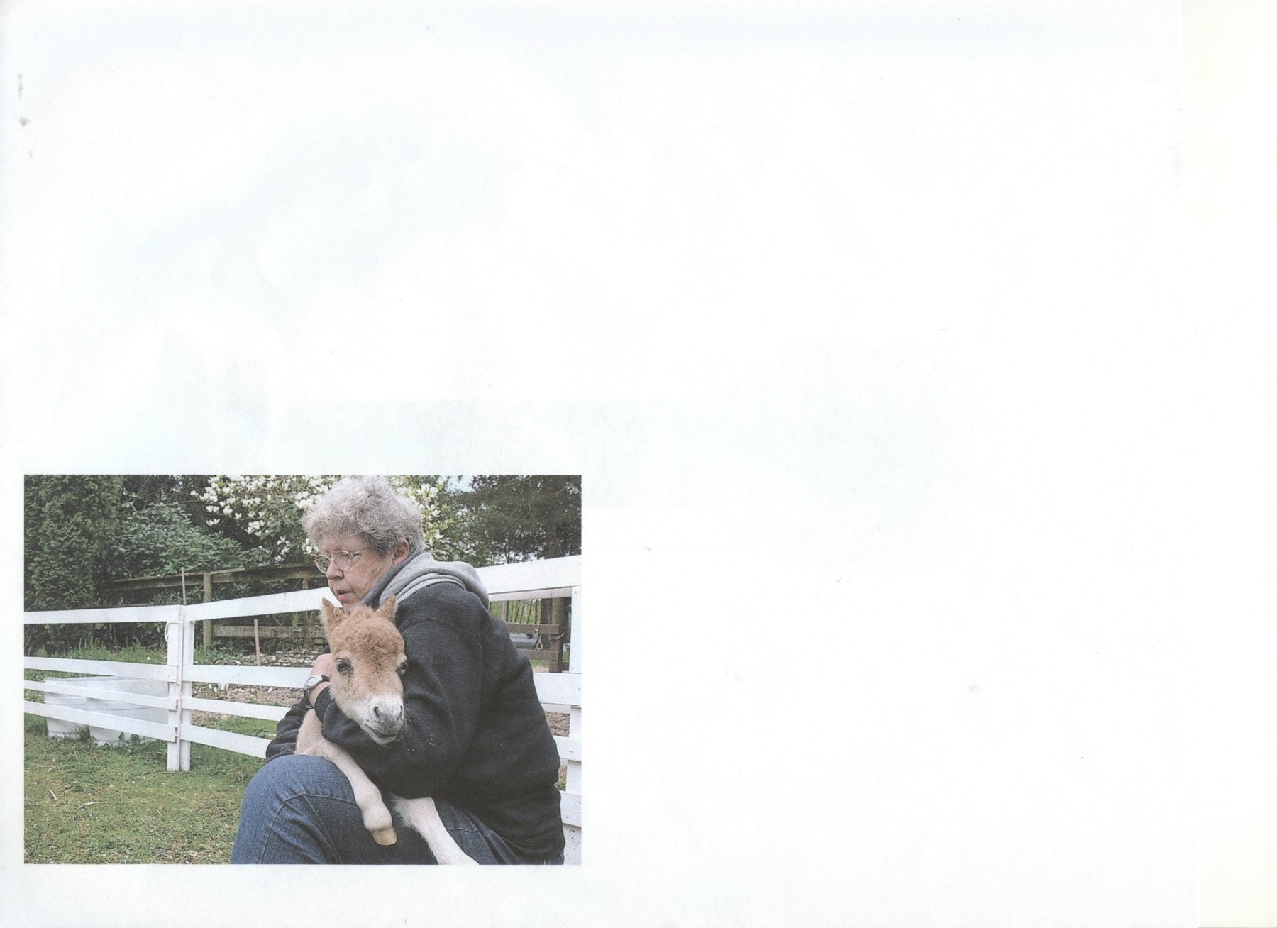 Obituary of Donna Wilson