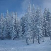 Obituary of Michael Roger Lehn