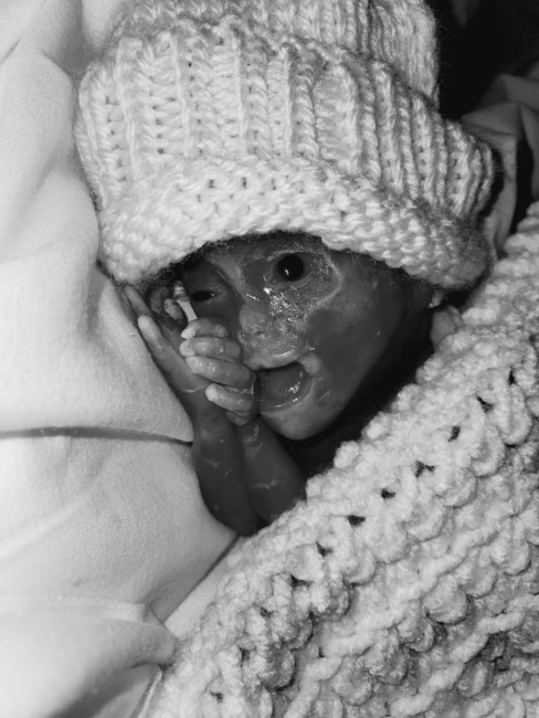 Obituary of Lucien Maddox Cross