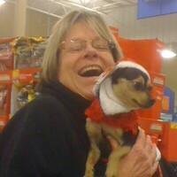 Obituary of Sharon Ruth Smith
