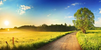 Obituary of Ronald Lynn Easter Jr.