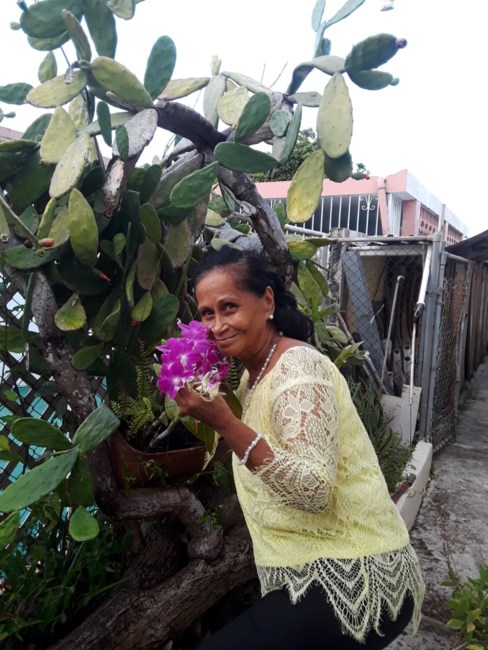 Obituary of Ana Luisa Marcano Rodríguez