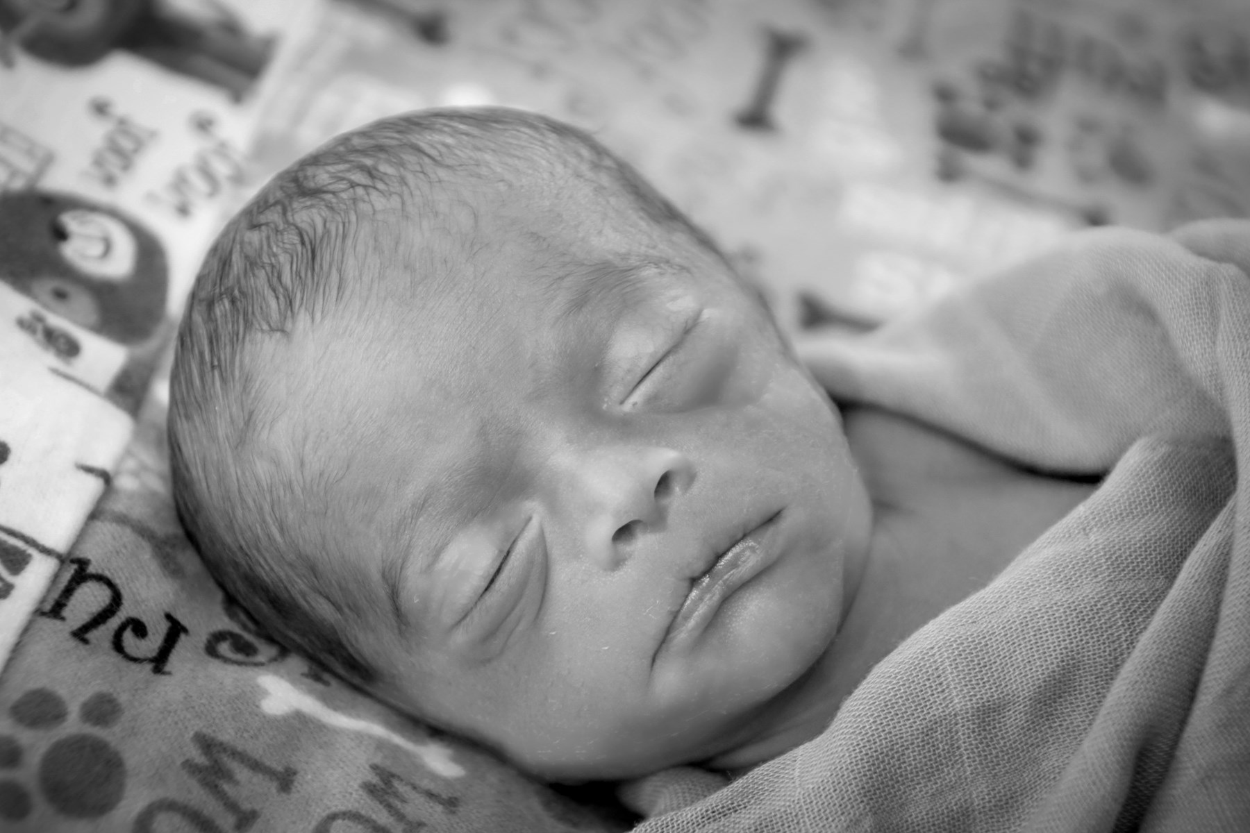 Obituary of Thunder Haze-Mason Feugate