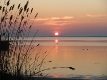 Obituario de Gregory Oliver Baudanza