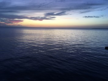 Obituary of Sandra M. White