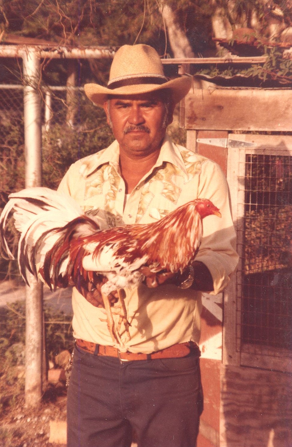 Obituary of Alberto M. Carbajal Sr.