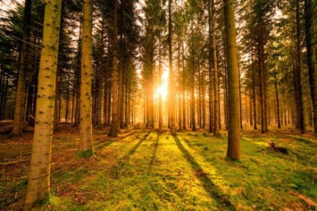 Obituary of Ralph Bernard Gresley