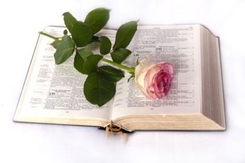Obituary of Donna Daniels McKnight