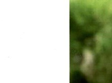 Daniel Renteria Obituary - San Antonio, TX