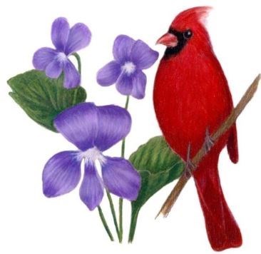 Obituary of Marilyn Gail Brown