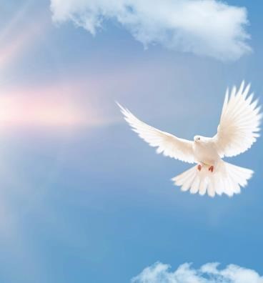 Obituary of Mary Ellen Parsons