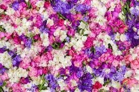 Obituary of Roberta Shistar Lynch
