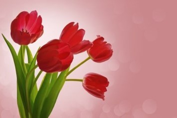 Obituary of Bertha Alvarez Petrie