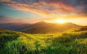 Obituary of Dr. Mohinder Singh Dhillon