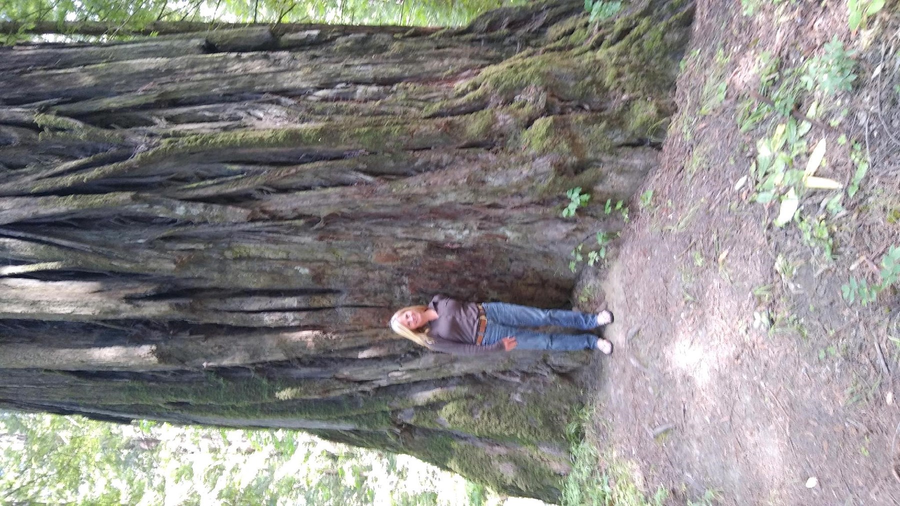 Obituary of Jill Robin Bushnell