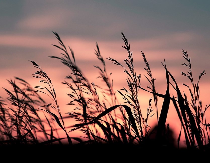 Obituary of Kenneth Martin Berberich