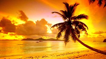 Avis de décès de William Francis Avery