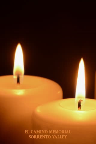 Obituary of Jerry Edward Fein