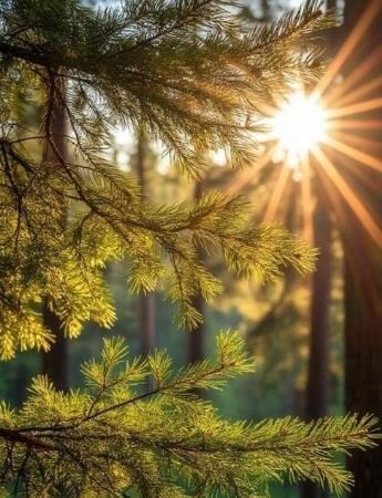 Obituary of Jose Garcia Zuniga