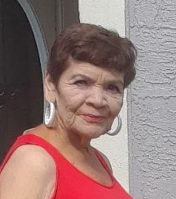 Obituary of Luz Eneida Nieves Mendez