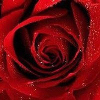 Obituary of Debra Bagwell Scott
