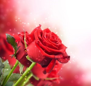 Obituary of Betty Malone Buxton