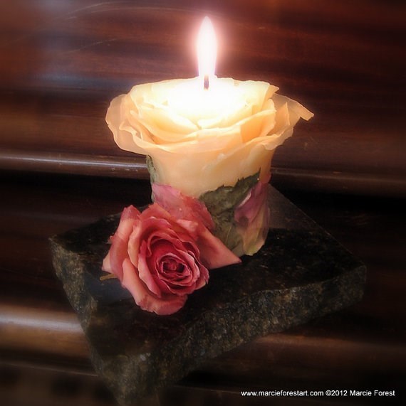 Obituary of Judith Swan Roane