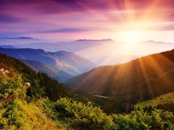 Obituary of Frances Louise Pfeifer