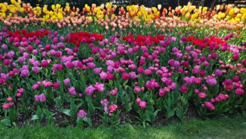 Obituary of Christine Ann Hutton