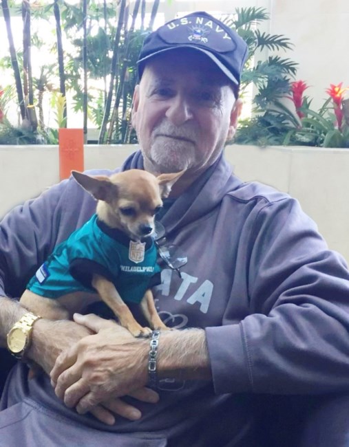 Obituary of Steven M. Safran