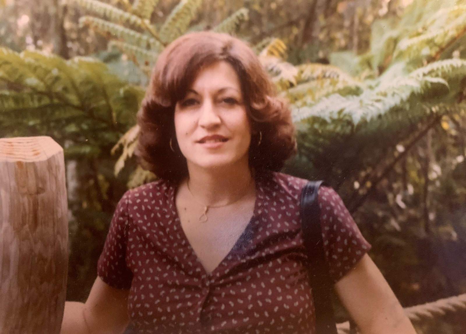 Obituary of Wanda Layne Harlow